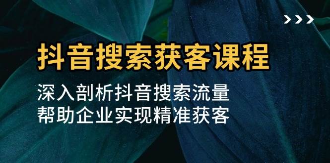 （13465期）抖音搜索获客课程：深入剖析抖音搜索流量，帮助企业实现精准获客优创云网-专注分享网络创业项目落地实操课程 – 全网首发_高质量创业项目输出优创云网