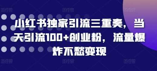 小红书独家引流三重奏，当天引流100+创业粉，流量爆炸不愁变现【揭秘】优创云网-专注分享网络创业项目落地实操课程 – 全网首发_高质量创业项目输出优创云网
