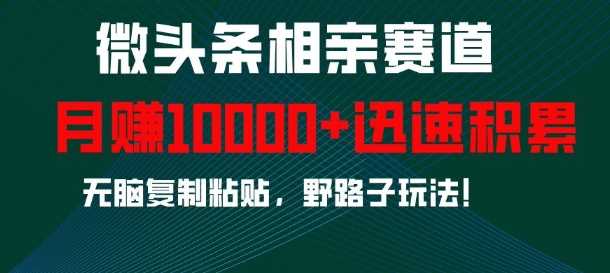 微头条相亲赛道，迅速积累，无脑复制粘贴，野路子玩法，月入1w优创云网-专注分享网络创业项目落地实操课程 – 全网首发_高质量创业项目输出优创云网