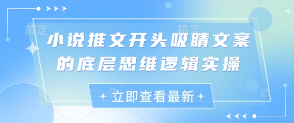 小说推文开头吸睛文案的底层思维逻辑实操优创云网-专注分享网络创业项目落地实操课程 – 全网首发_高质量创业项目输出优创云网