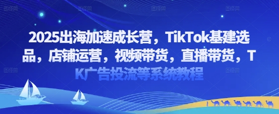 2025出海加速成长营，TikTok基建选品，店铺运营，视频带货，直播带货，TK广告投流等系统教程优创云网-专注分享网络创业项目落地实操课程 – 全网首发_高质量创业项目输出优创云网