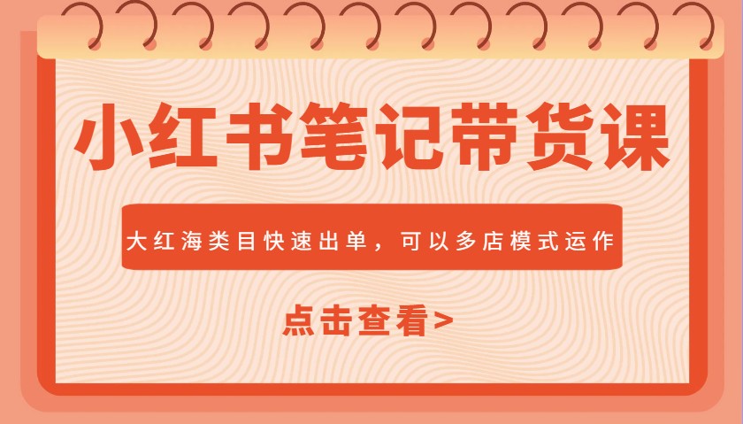 小红书笔记带货课，大红海类目快速出单，市场大，可以多店模式运作(更新)优创云网-专注分享网络创业项目落地实操课程 – 全网首发_高质量创业项目输出优创云网