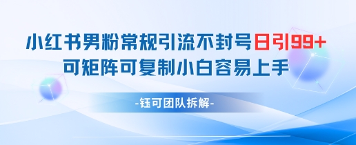小红书男粉常规引流不封号日引99+变现简单 可矩阵可复制小白容易上手优创云网-专注分享网络创业项目落地实操课程 – 全网首发_高质量创业项目输出优创云网