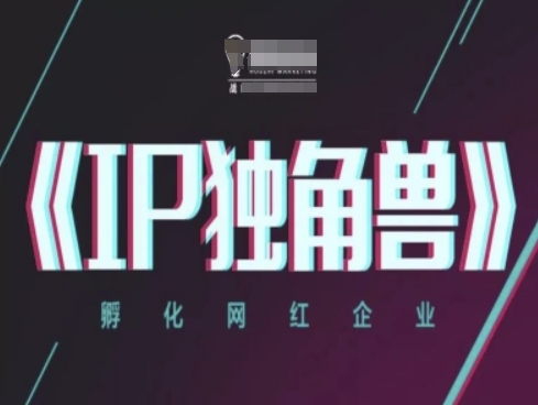 IP独角兽，孵化网红企业，ip教程优创云网-专注分享网络创业项目落地实操课程 – 全网首发_高质量创业项目输出优创云网