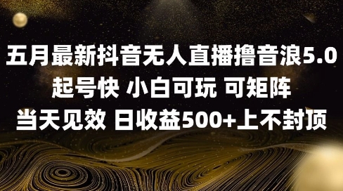 2025五月最新无人直播撸音浪单日产出5张+实操教程【揭秘】优创云网-专注分享网络创业项目落地实操课程 – 全网首发_高质量创业项目输出优创云网