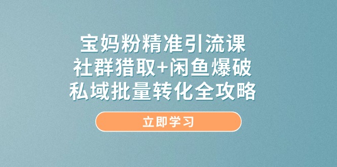 宝妈粉精准引流课，社群猎取+闲鱼爆破，私域批量转化全攻略优创云网-专注分享网络创业项目落地实操课程 – 全网首发_高质量创业项目输出优创云网