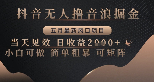 抖音无人撸音浪掘金，五月最新风口项目，当天见效，日收益多张，小白可做简单粗暴可矩阵【揭秘】优创云网-专注分享网络创业项目落地实操课程 – 全网首发_高质量创业项目输出优创云网
