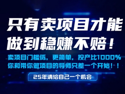 只有卖项目才能做到稳挣不赔，门槛低，更简单，你也可以年入百个W【揭秘】优创云网-专注分享网络创业项目落地实操课程 – 全网首发_高质量创业项目输出优创云网