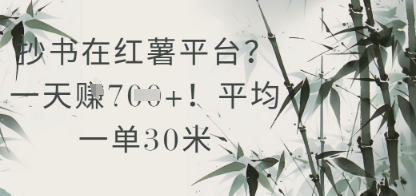抄书在小红薯平台？平均一单30米，一天收益几张！优创云网-专注分享网络创业项目落地实操课程 – 全网首发_高质量创业项目输出优创云网