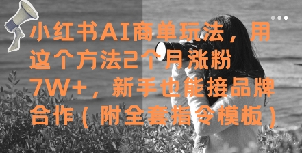 小红书AI商单玩法，用这个方法2个月涨粉7W+，新手也能接品牌合作(附全套指令模板)优创云网-专注分享网络创业项目落地实操课程 – 全网首发_高质量创业项目输出优创云网