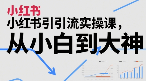 小红书引流实操课，从小白到大神优创云网-专注分享网络创业项目落地实操课程 – 全网首发_高质量创业项目输出优创云网
