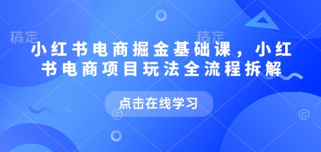 小红书电商掘金课，小红书电商项目玩法全流程拆解(更新5月)优创云网-专注分享网络创业项目落地实操课程 – 全网首发_高质量创业项目输出优创云网