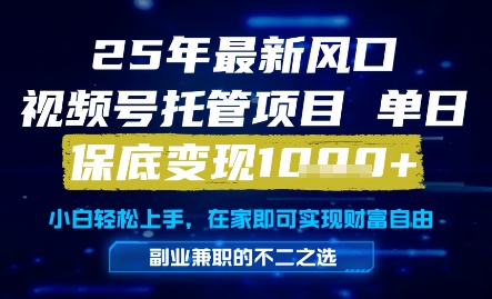 25年最新风口，视频号托管项目，单日保底变现1k+，手把手教学【揭秘】优创云网-专注分享网络创业项目落地实操课程 – 全网首发_高质量创业项目输出优创云网