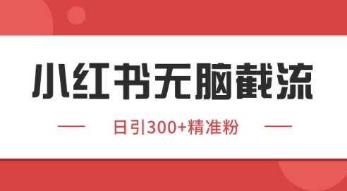 小红书截流同行客源，独家野路子获客玩法 日引200+暴力获客【揭秘】优创云网-专注分享网络创业项目落地实操课程 – 全网首发_高质量创业项目输出优创云网