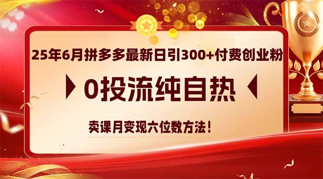 25年6月拼多多最新日引300+付费创业粉，0投流纯自热 卖课月变现六位数方法优创云网-专注分享网络创业项目落地实操课程 – 全网首发_高质量创业项目输出优创云网