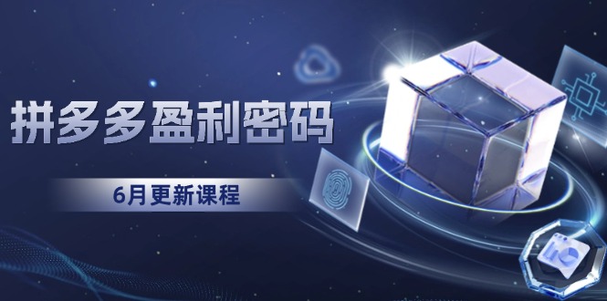 拼多多盈利密码：从烧钱推广到印钞模型，底层逻辑重构指南(6月更新优创云网-专注分享网络创业项目落地实操课程 – 全网首发_高质量创业项目输出优创云网