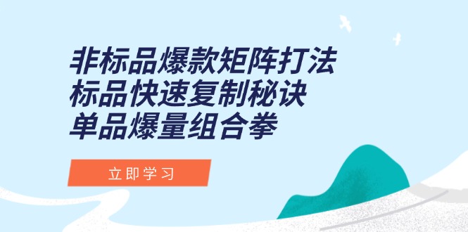 非标品爆款矩阵打法，标品快速复制秘诀，单品爆量组合拳优创云网-专注分享网络创业项目落地实操课程 – 全网首发_高质量创业项目输出优创云网