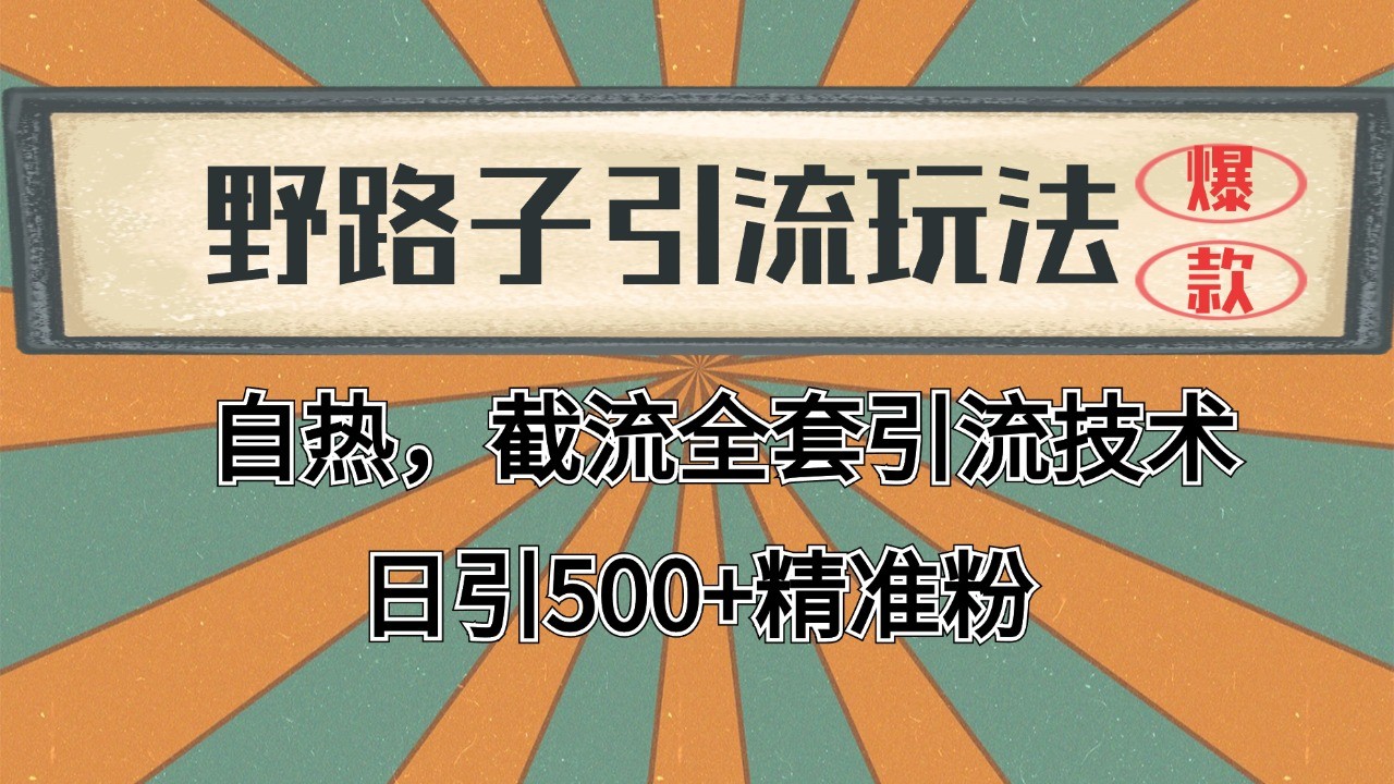2024首发野路子引流玩法截流自热全平台打法，全自动引流【日引2000+精准客户】优创云网-专注分享网络创业项目落地实操课程 – 全网首发_高质量创业项目输出优创云网