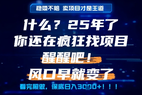 什么？25年你还在疯狂找项目做，醒醒吧，看完这些你全都懂了！【揭秘】优创云网-专注分享网络创业项目落地实操课程 – 全网首发_高质量创业项目输出优创云网