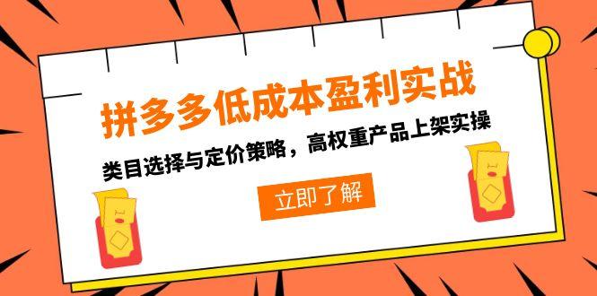 拼多多低成本盈利实战，类目选择与定价策略，高权重产品上架实操优创云网-专注分享网络创业项目落地实操课程 – 全网首发_高质量创业项目输出优创云网