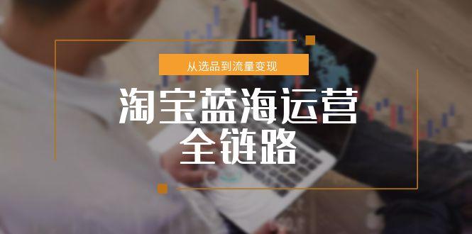 淘宝蓝海运营全链路，从选品到流量变现，小类目突围完整方案优创云网-专注分享网络创业项目落地实操课程 – 全网首发_高质量创业项目输出优创云网