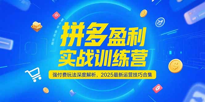 拼多多盈利实战训练营，强付费玩法深度解析，2025运营技巧合集-更新6月优创云网-专注分享网络创业项目落地实操课程 – 全网首发_高质量创业项目输出优创云网