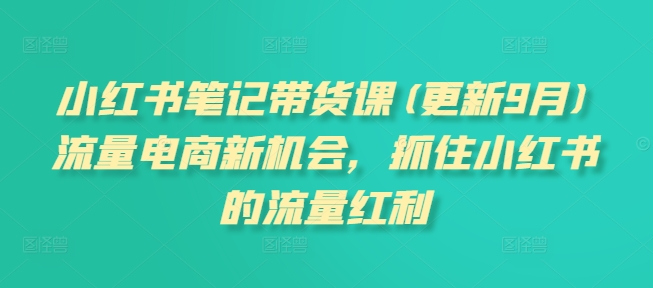 小红书笔记带货课(更新25年6月)流量电商新机会，抓住小红书的流量红利优创云网-专注分享网络创业项目落地实操课程 – 全网首发_高质量创业项目输出优创云网