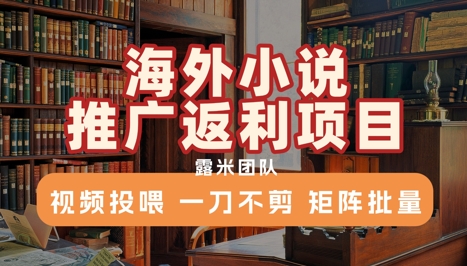 海外小说推广返利项目，视频投喂， 一刀不剪，矩阵批量优创云网-专注分享网络创业项目落地实操课程 – 全网首发_高质量创业项目输出优创云网