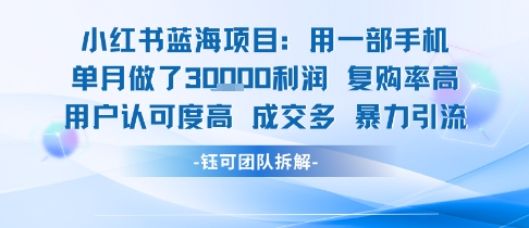 小红书蓝海项目，一部手机单月做了3W利润，小白也能月入过1W用户认可度高成交多优创云网-专注分享网络创业项目落地实操课程 – 全网首发_高质量创业项目输出优创云网