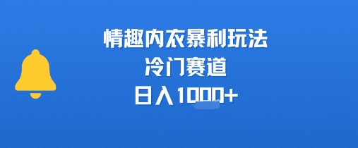 情趣内衣暴利玩法，冷门赛道，日入1k+优创云网-专注分享网络创业项目落地实操课程 – 全网首发_高质量创业项目输出优创云网