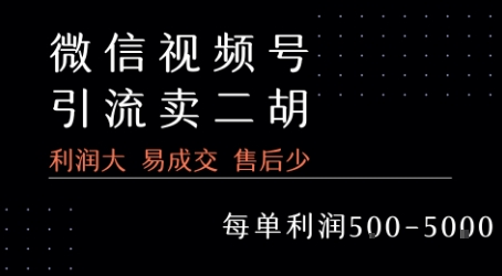 视频号卖二胡教程，利润大 易成交 售后少，一单利润5张+优创云网-专注分享网络创业项目落地实操课程 – 全网首发_高质量创业项目输出优创云网
